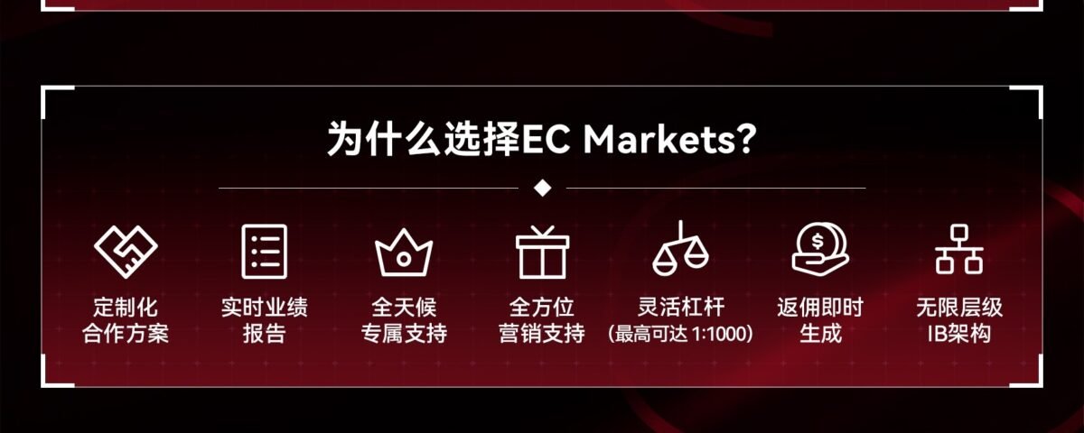 EC markets回顾2025