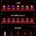 EC markets回顾2025