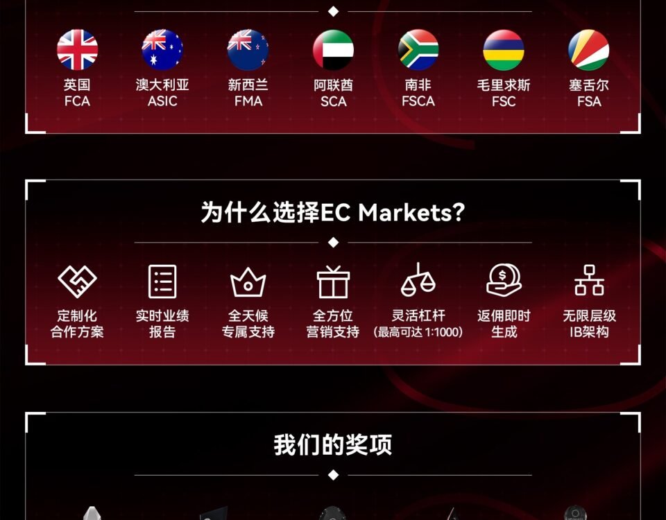 EC markets回顾2025